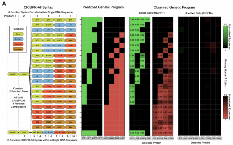 Publications – Stanford – Roth Lab